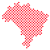 Icone mapa do brasil